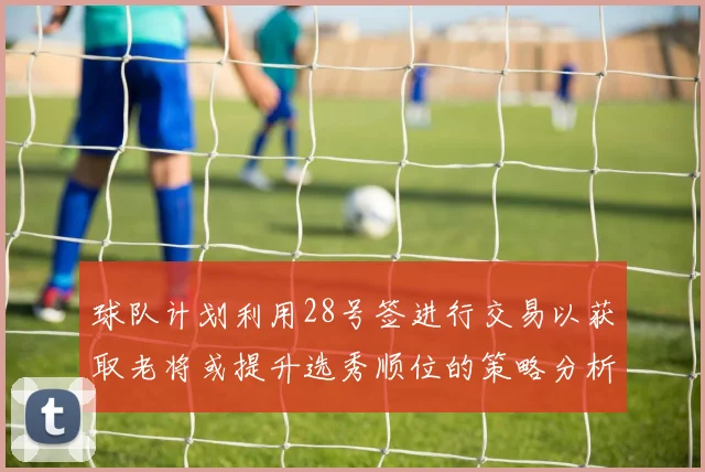 球队计划利用28号签进行交易以获取老将或提升选秀顺位的策略分析